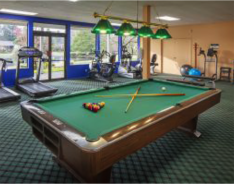 pool table ay Summerfield Retirement Community