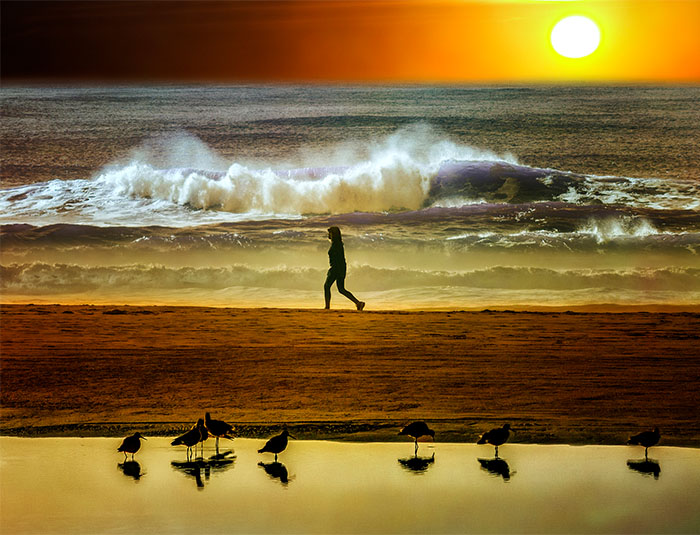 Ocean Beach Walkers